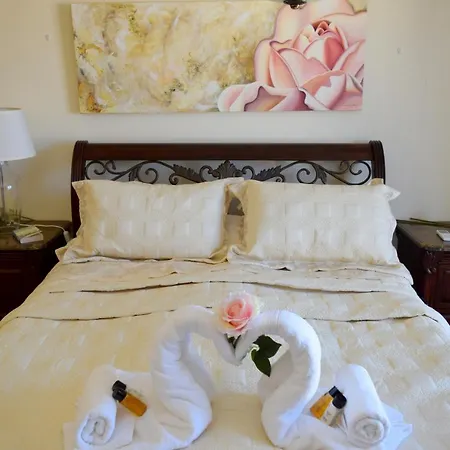 Nelio Luxury